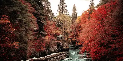 Módulo-Información-OTOÑO-horizontal-desktop-400x200px.jpg - Pangea Viajes