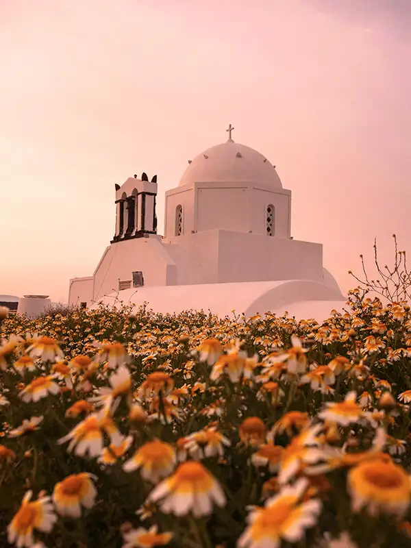 Módulo-Información-PRIMAVERA-vertical-desktop-600x800px.jpg - Pangea Viajes