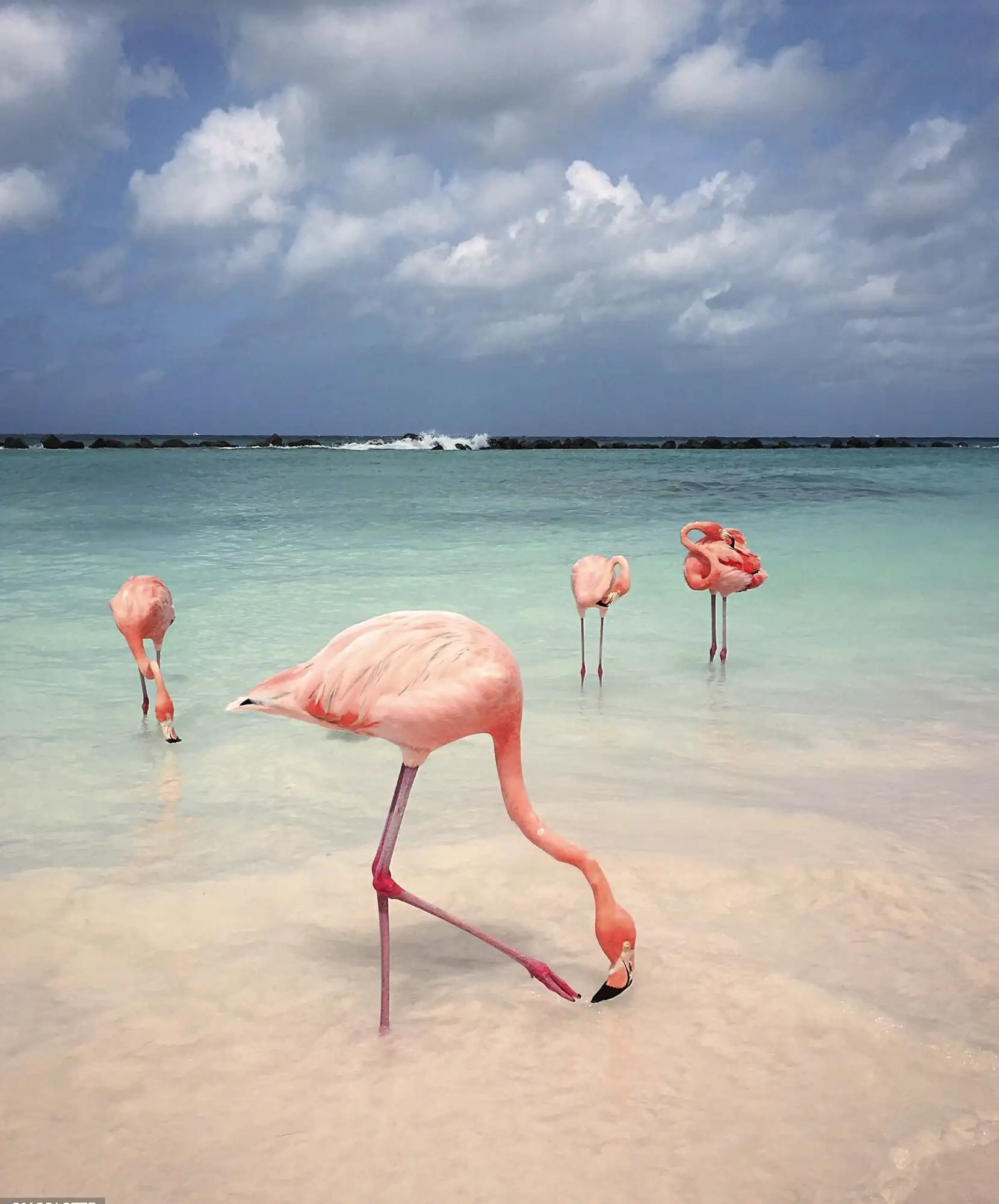 OFERTA-VIAJE-ARUBA-PANAMA.webp - Pangea Viajes