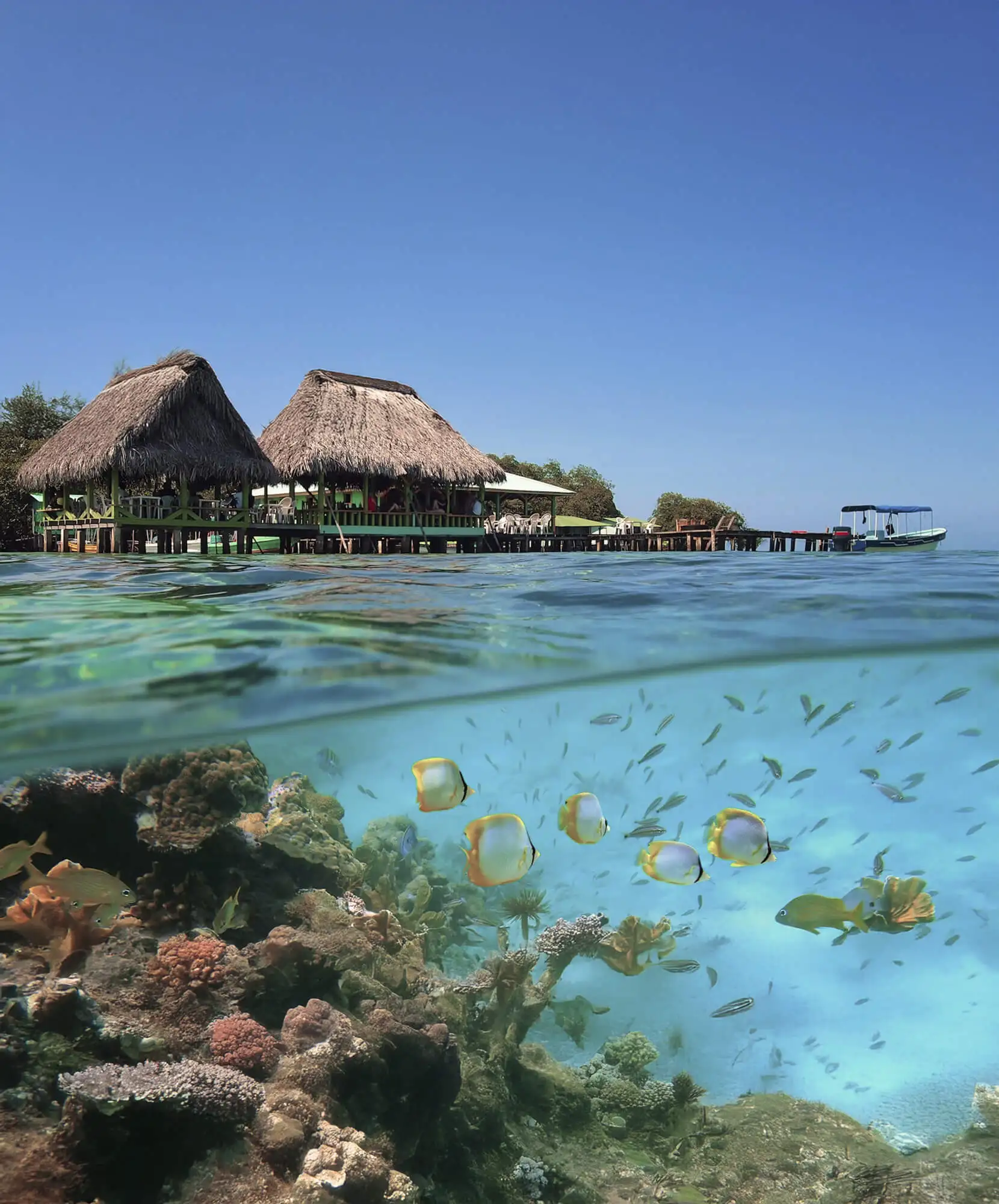 OFERTA-VIAJE-BUENOS-AIRES-PANAMA.webp - Pangea Viajes