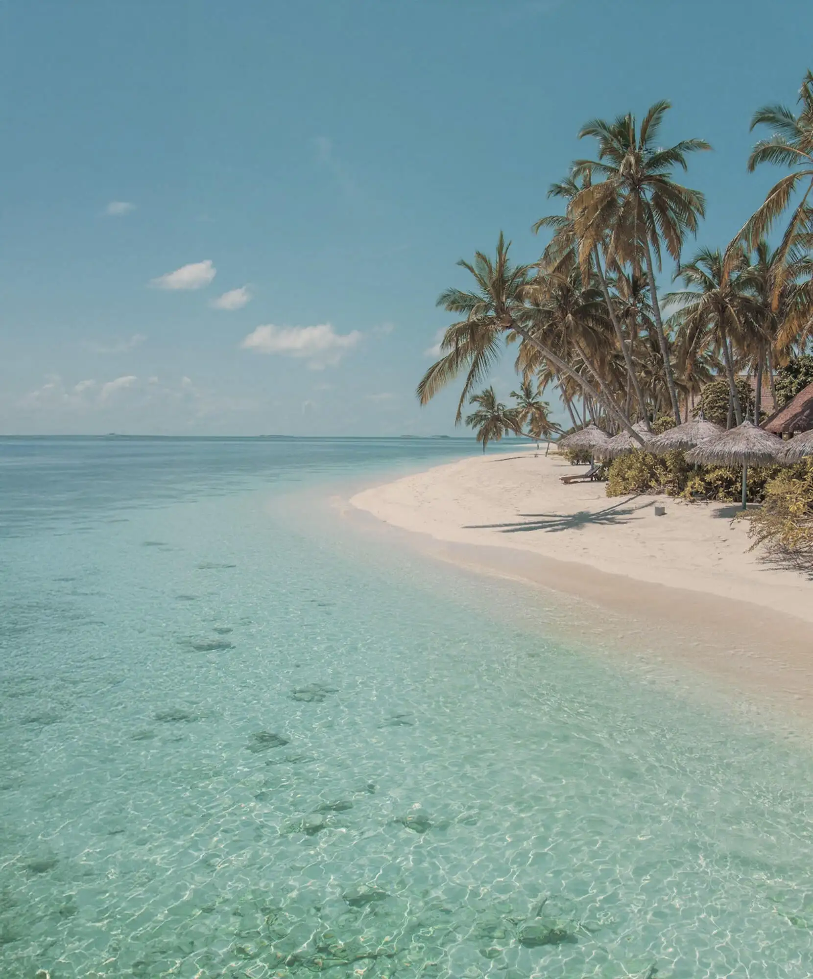 OFERTA-VIAJE-JAMAICA-PANAMA.webp - Pangea Viajes