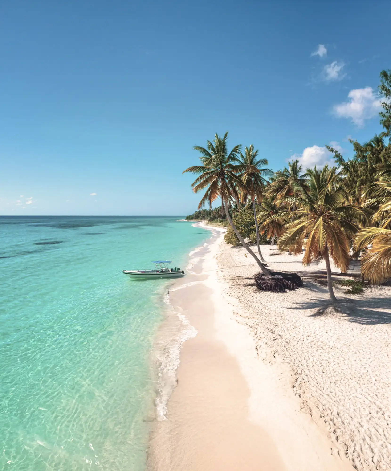 OFERTA-VIAJE-PUNTA-CANA.webp - Pangea Viajes