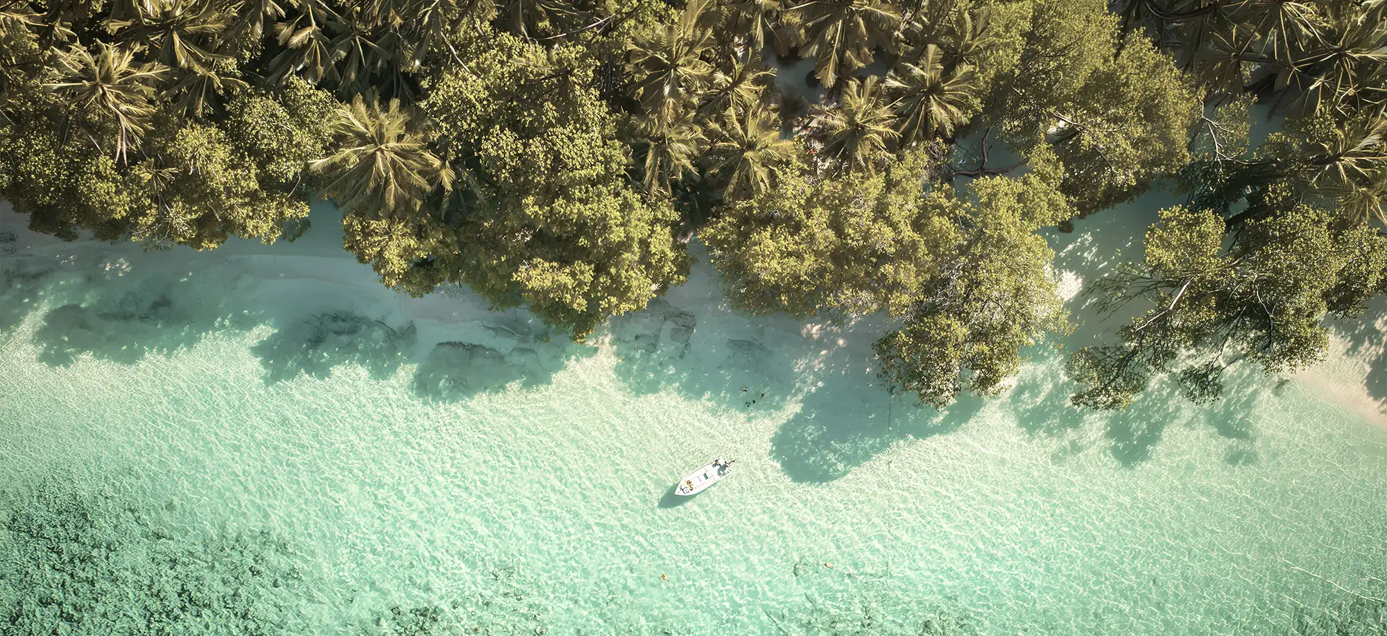 Costa Rica: Playas y Bosques