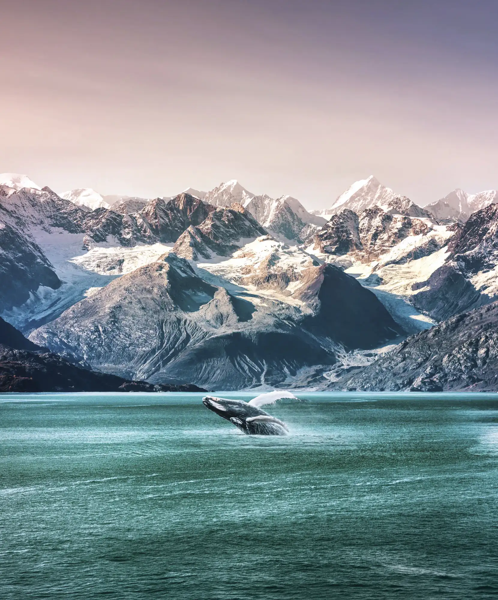 Oferta-viaje-descubre-Alaska-Alaska.webp - Pangea Viajes