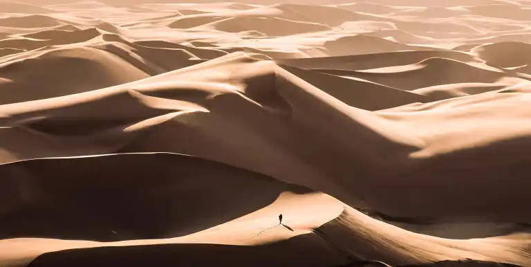 Que es Pangea_Mosaico_Desierto.webp - Pangea Viajes