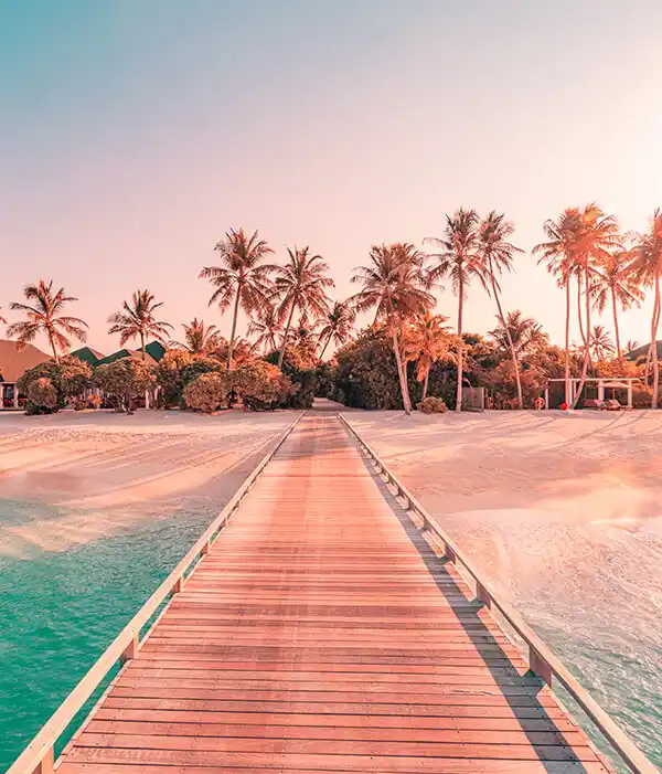 Viaje a maldivas_Pasarela a isla_.webp - Pangea Viajes