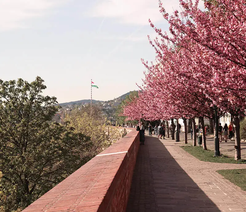 cuando-viajar-hungria-primavera.jpg - Pangea Viajes