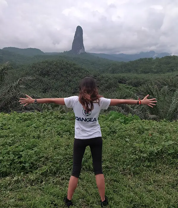 Explorers, guides and experts