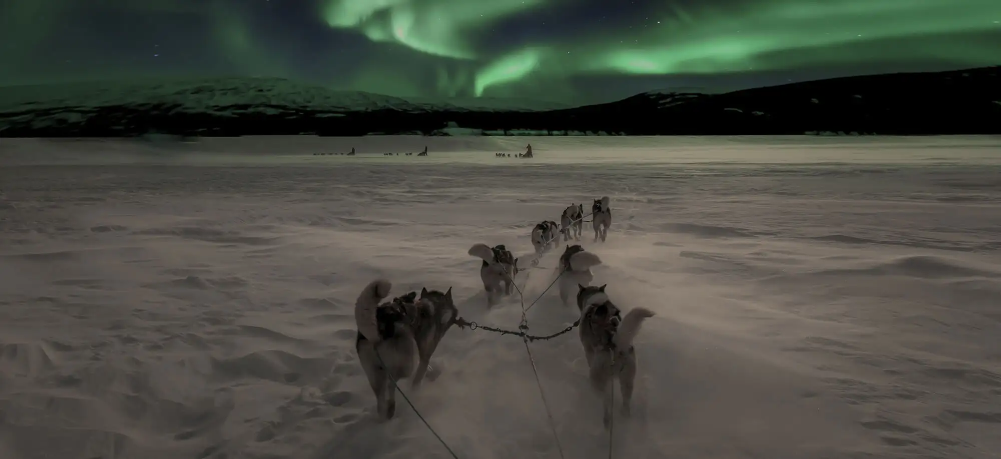 In the Arctic Circle