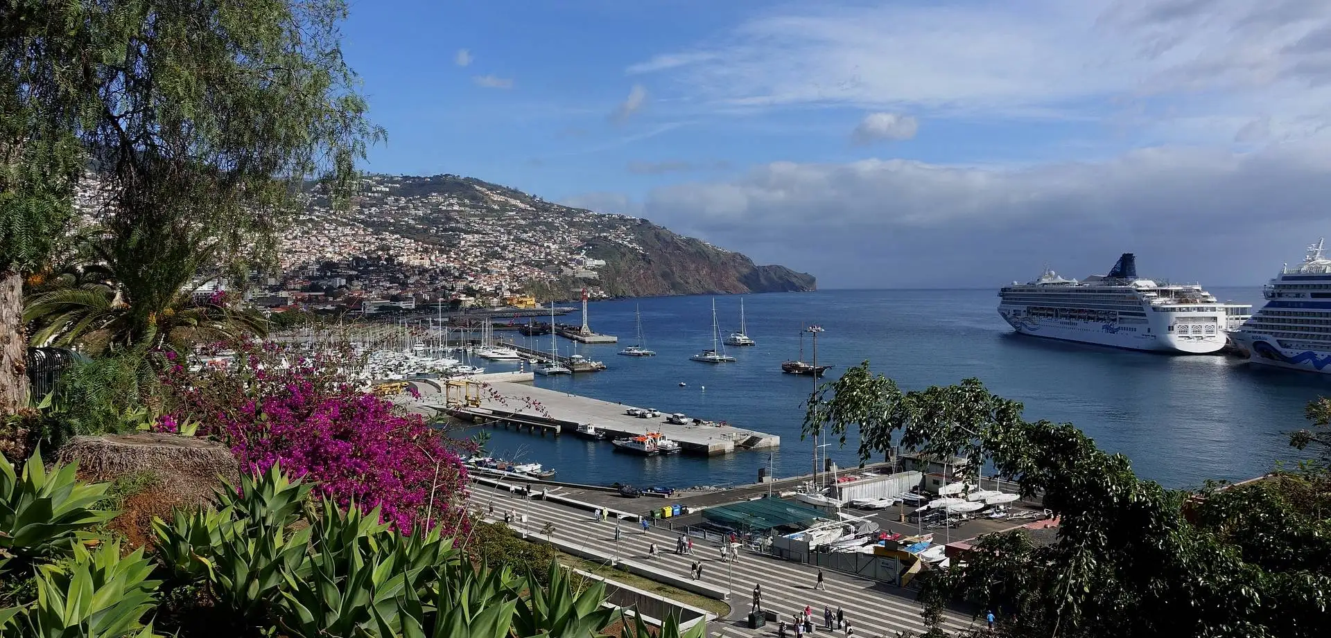 Jardins secretos do Atlântico