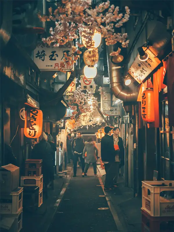 top-destinos-japon-v.webp - Pangea Viajes