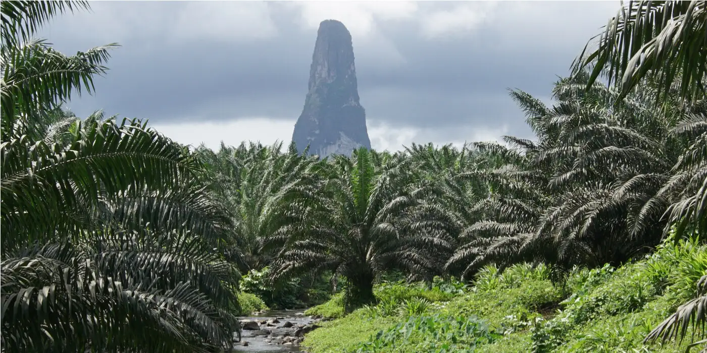 Um segredo jurássico