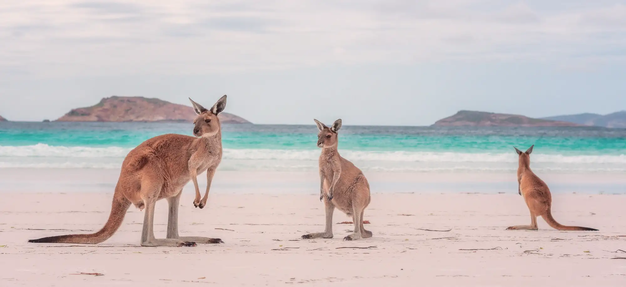 Trips to Australia