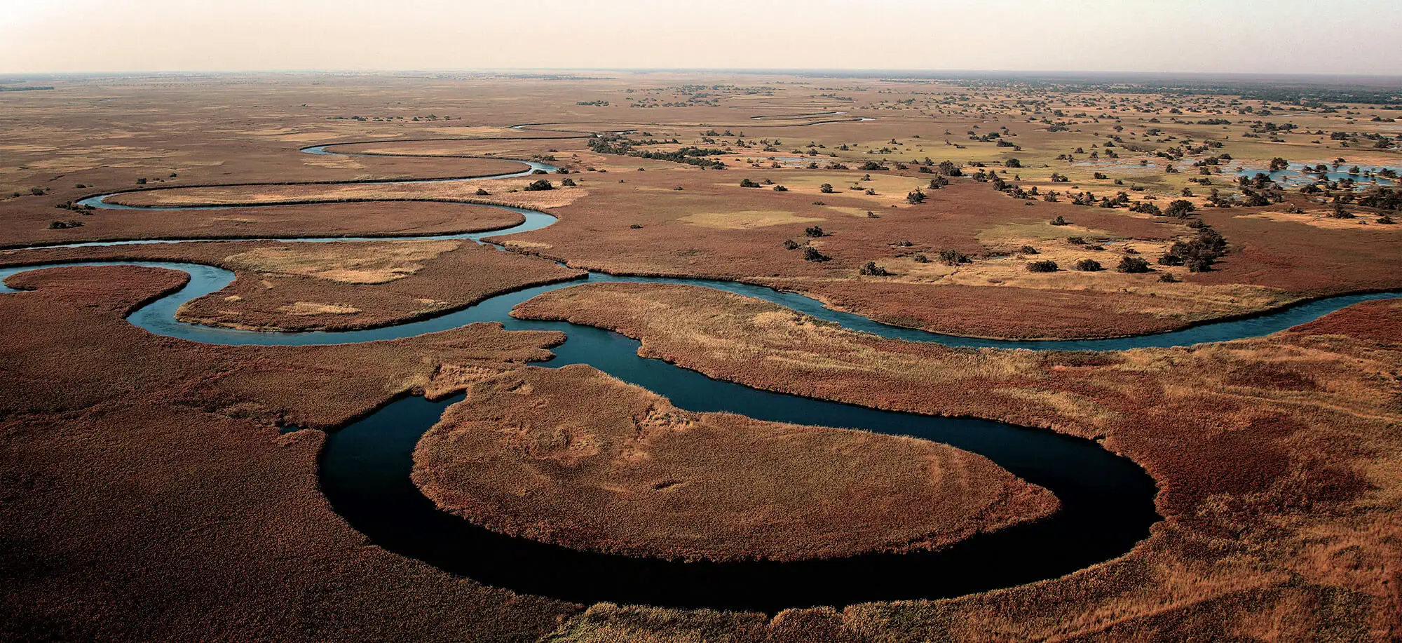 Delta do Okavango