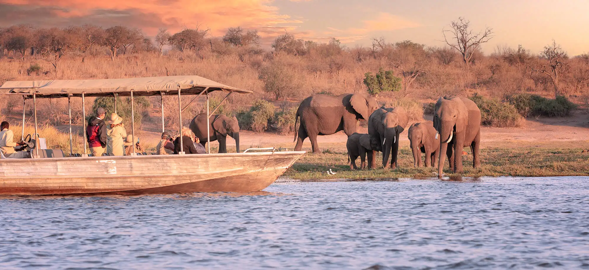 Trips to Chobe National Park