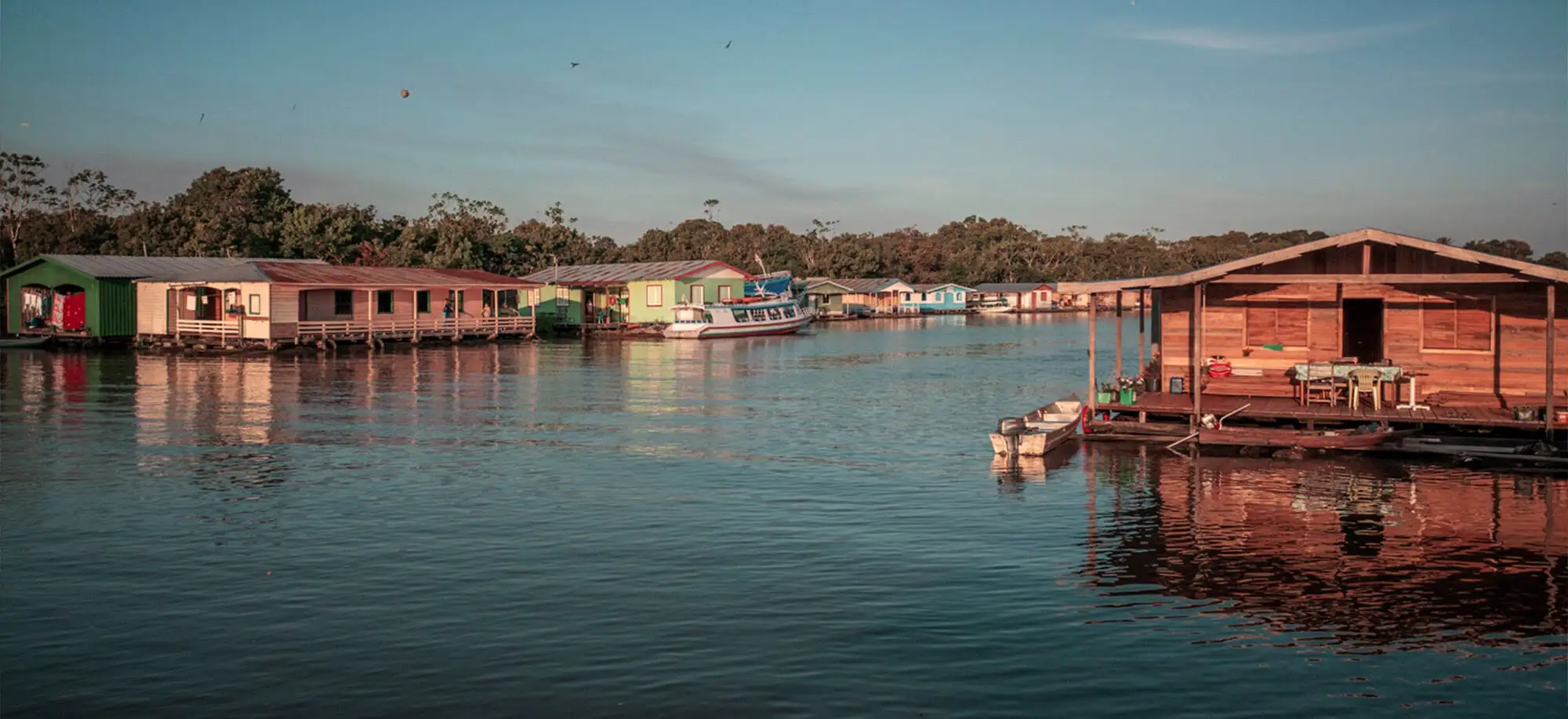 Trips to Manaus