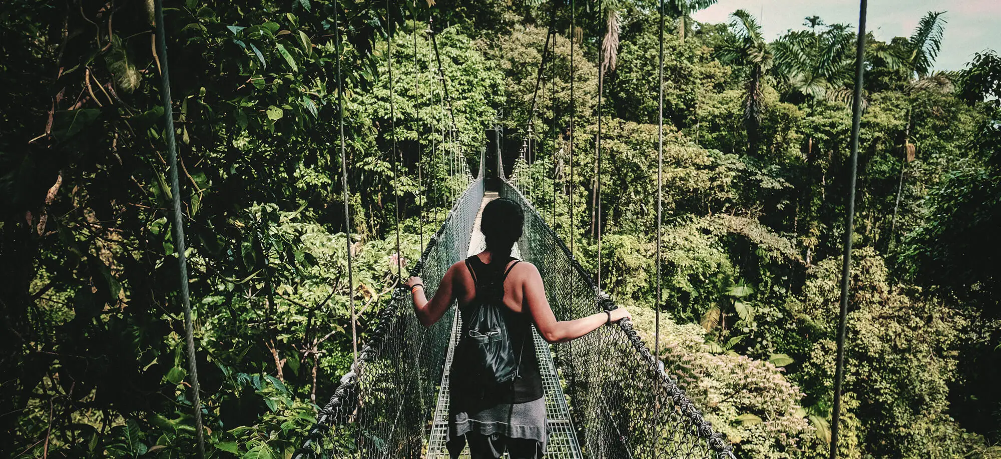 Trips to the Monteverde Cloud Forest