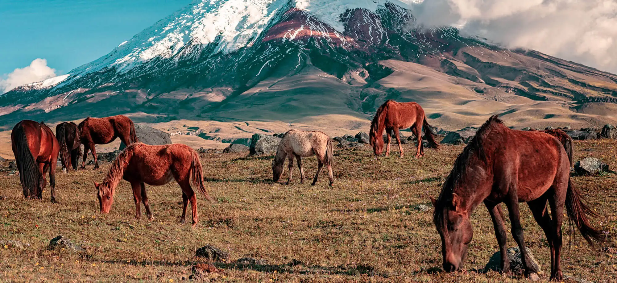 Trips to Cotopaxi Volcano