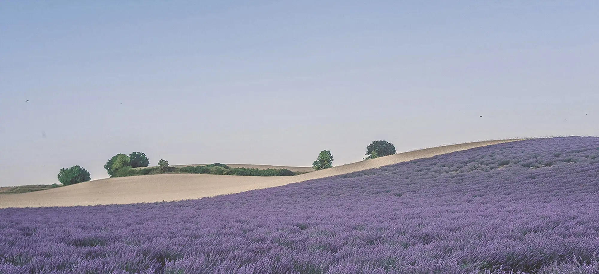 Viajes a la Provenza