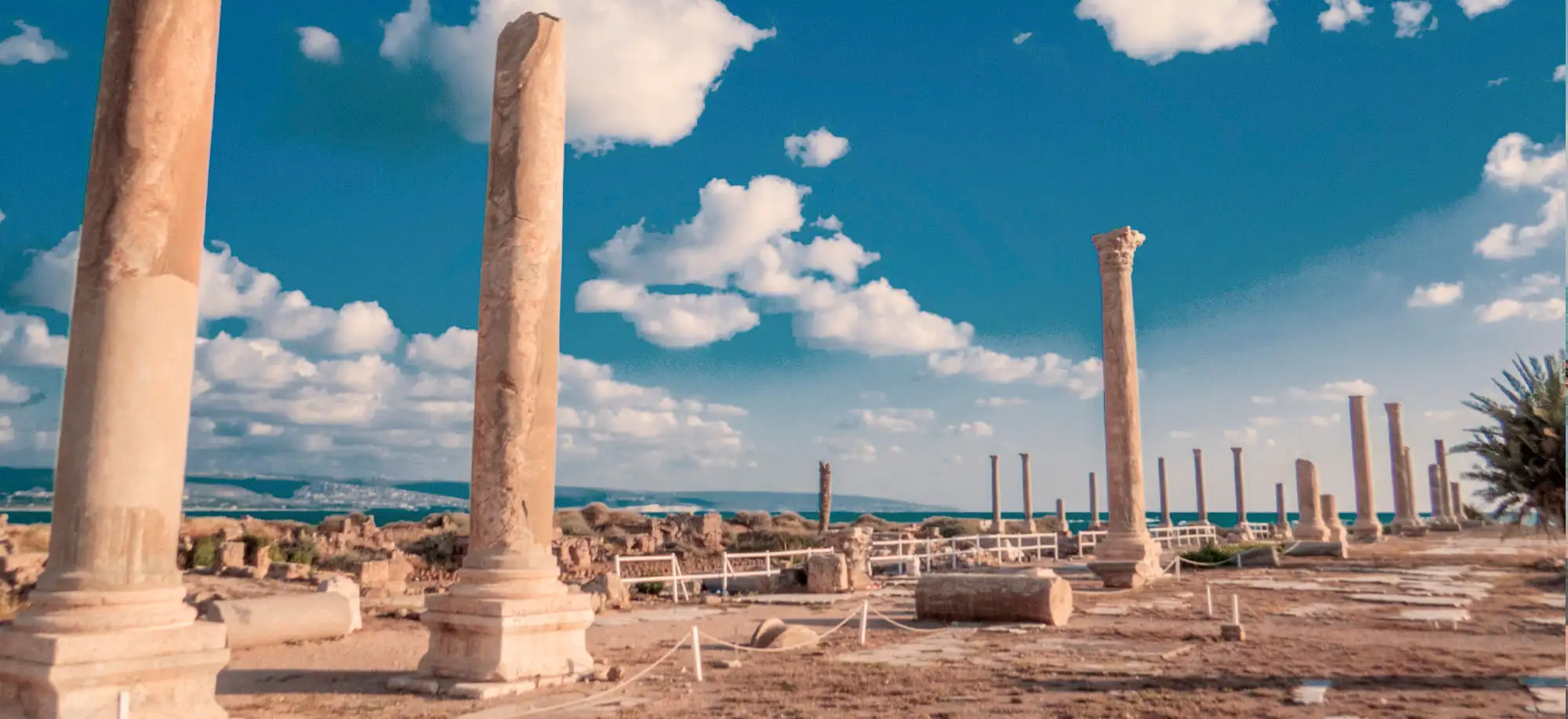 Trips to the Ruins of Tyre