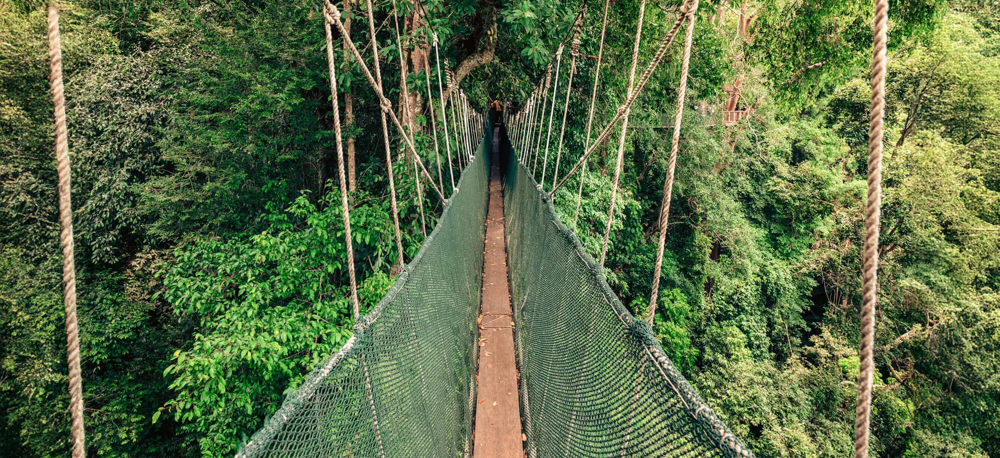 Parque Nacional Taman Negara