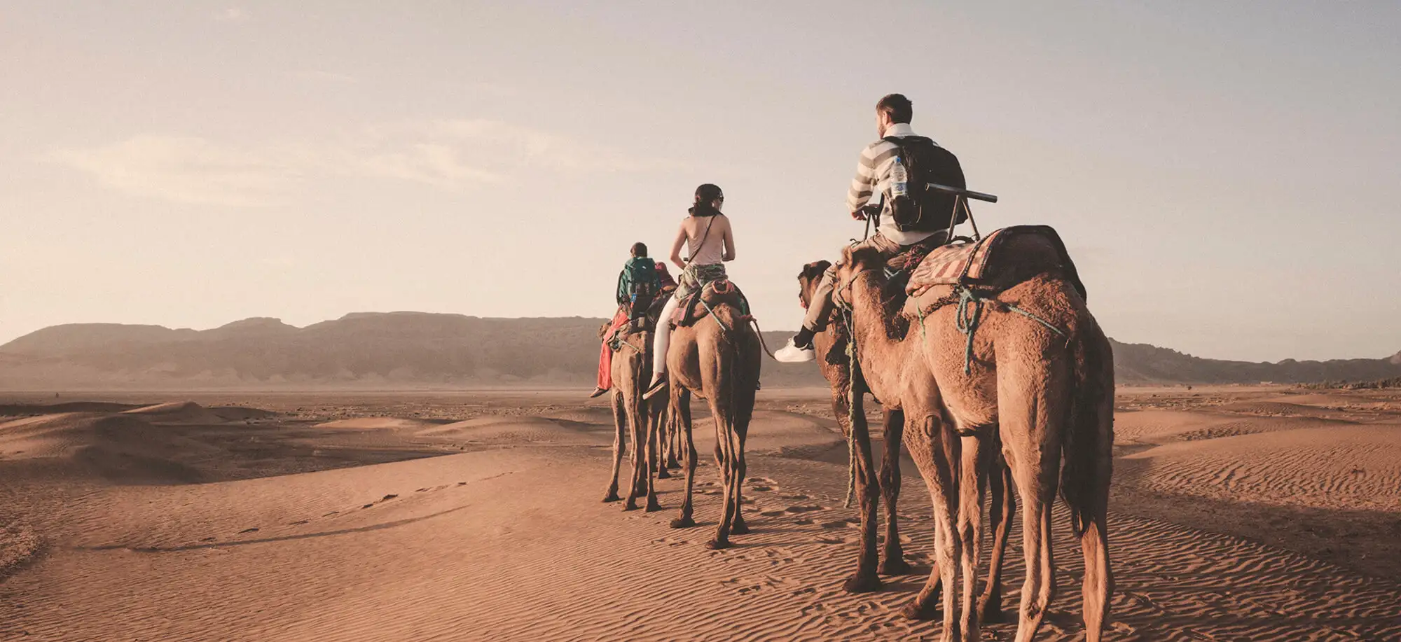 Trips to the Zagora Desert