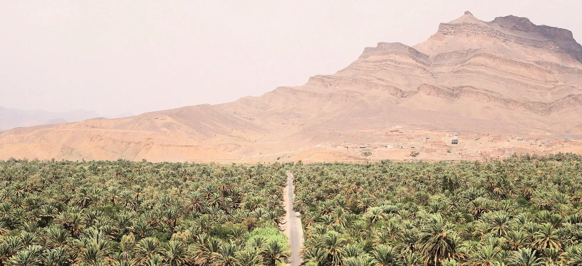 Trips to the Draa Valley