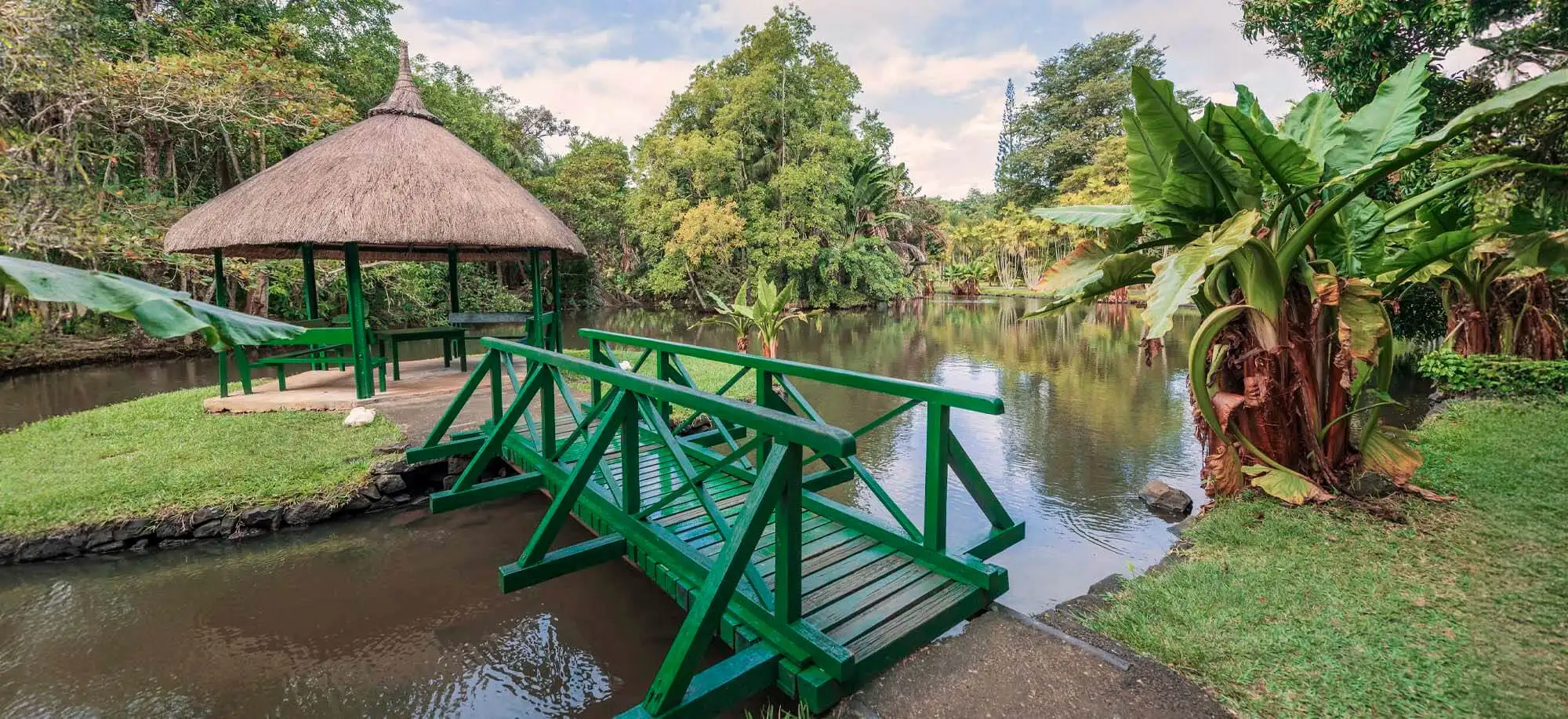 image-viajar-a-mauricio-jardín-botánico-pamplemousses-g-1.webp - Pangea Viajes