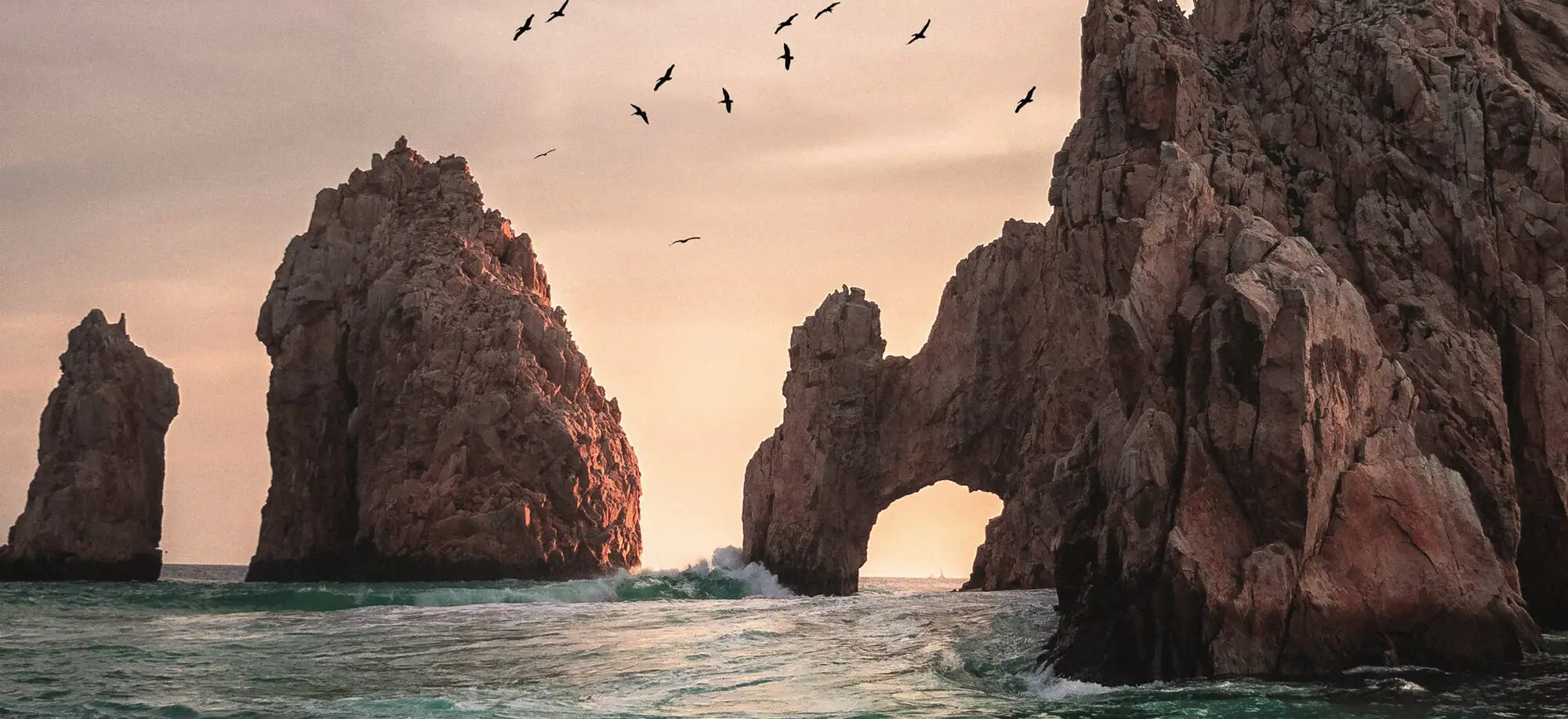 Trips to Baja California