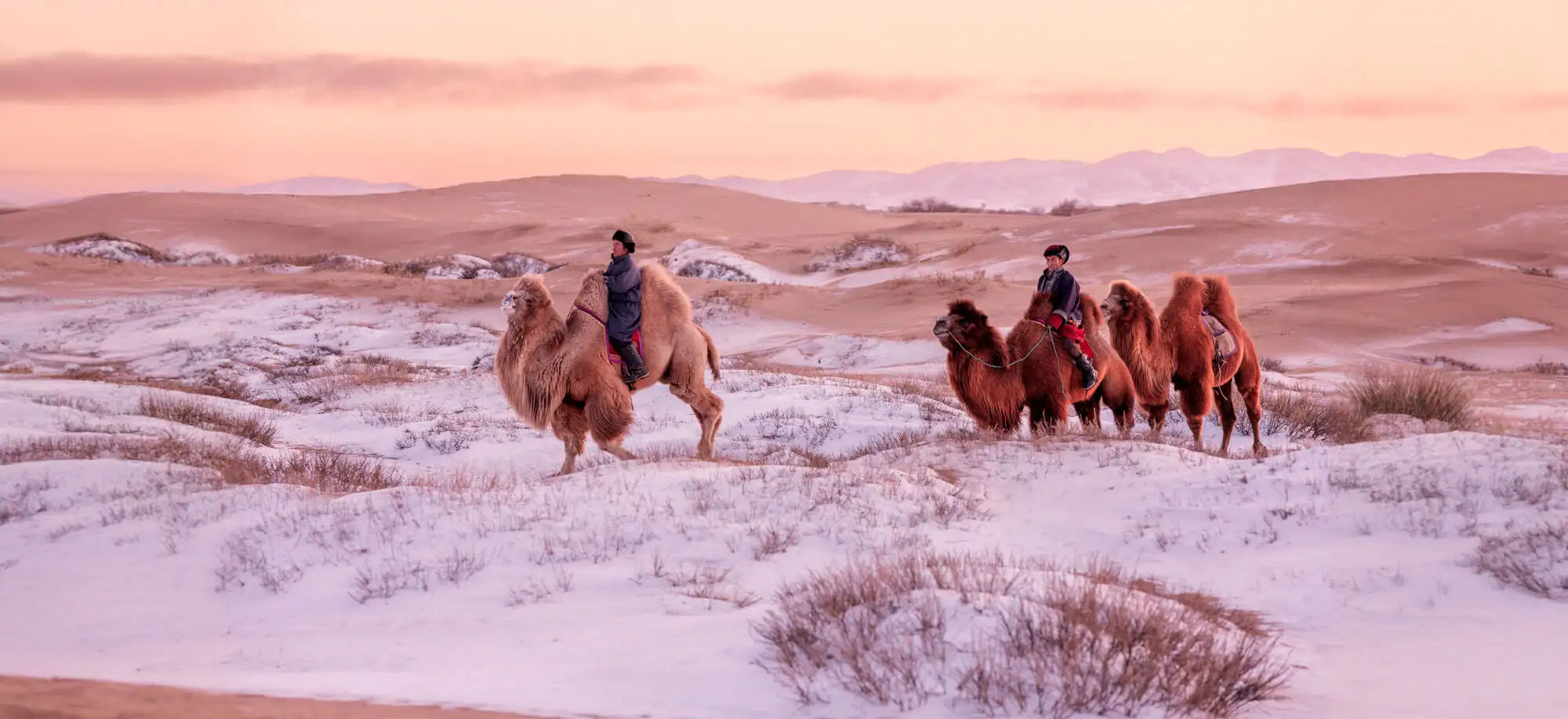 El Desierto del Gobi