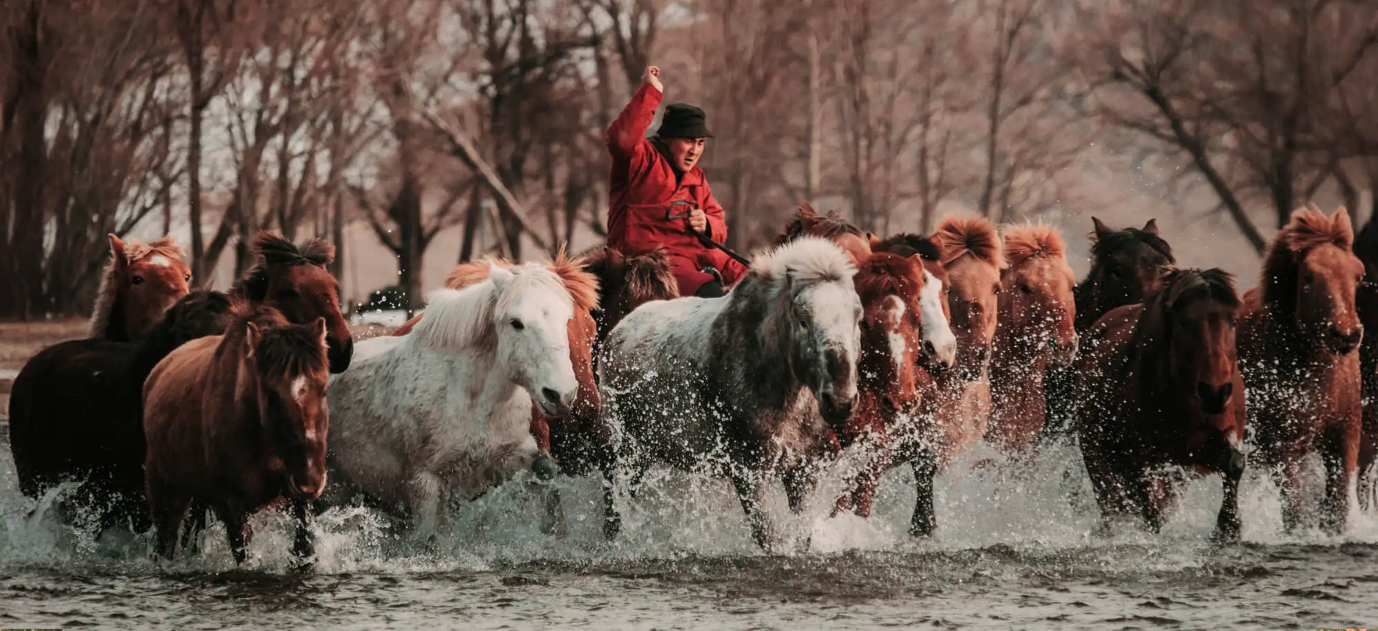 Parque Nacional Gorkhi Terelj