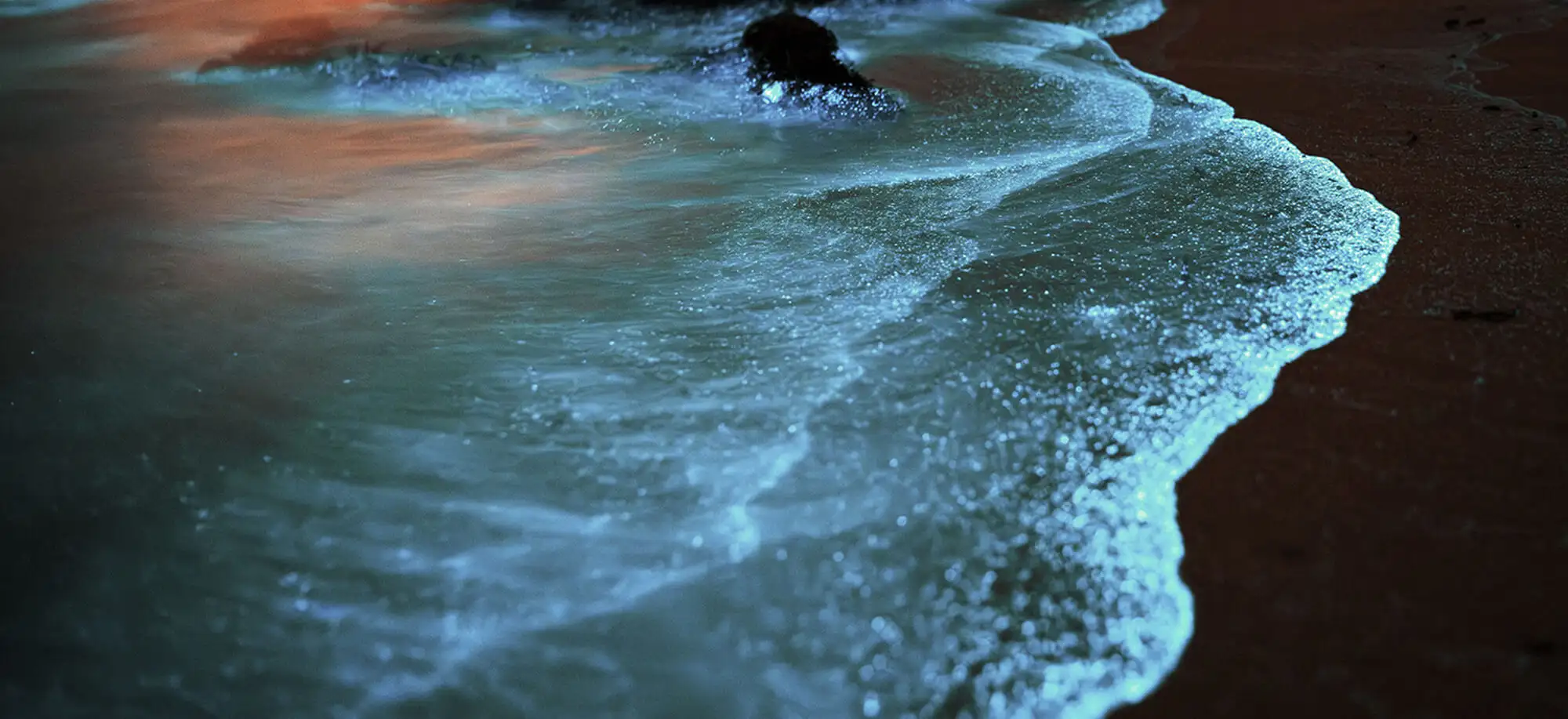 Viajes a las Lagunas Bioluminiscentes