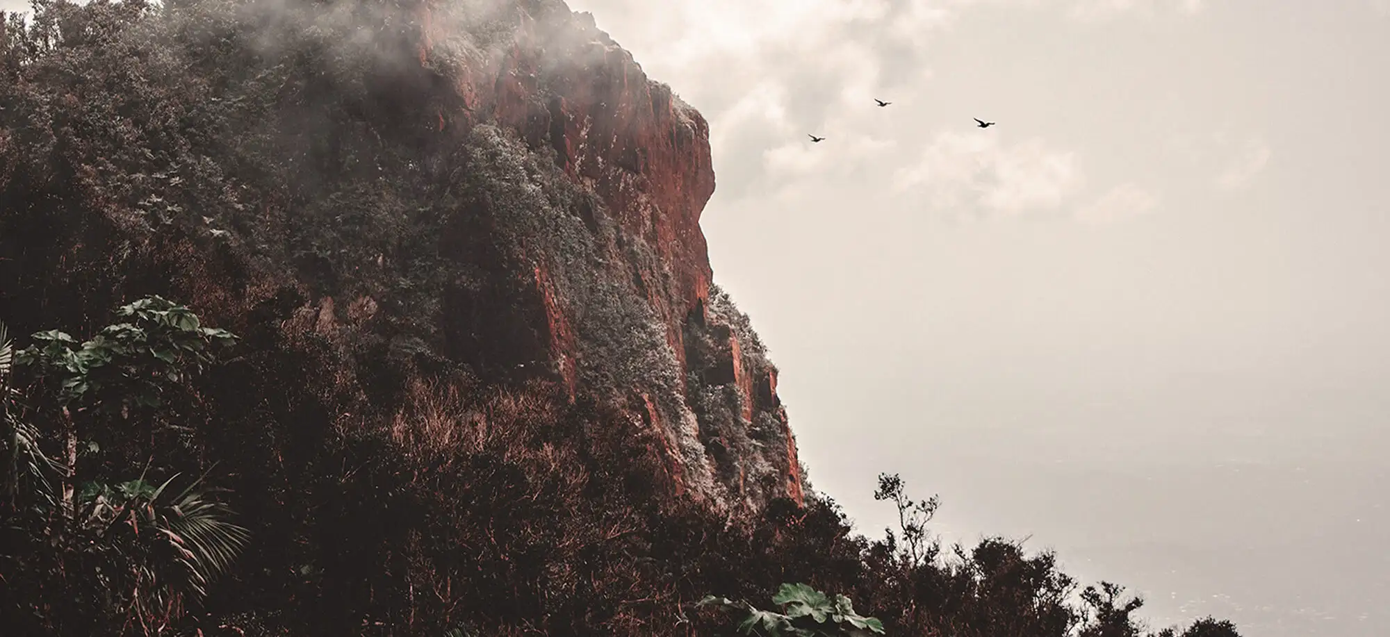 Parque Nacional El Yunque
