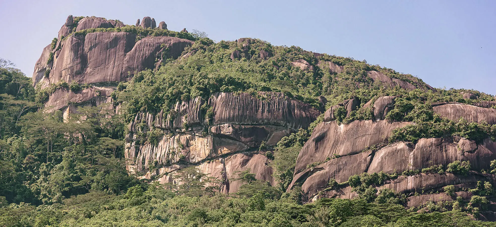 Parque Nacional Morne Seychellois