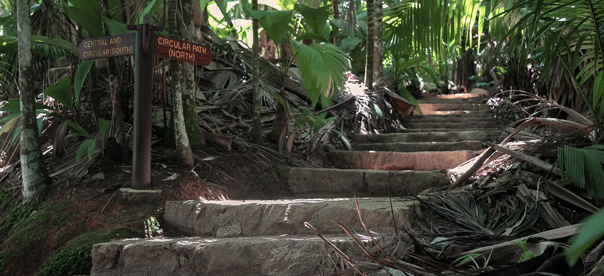 Valley of Mai Nature Reserve