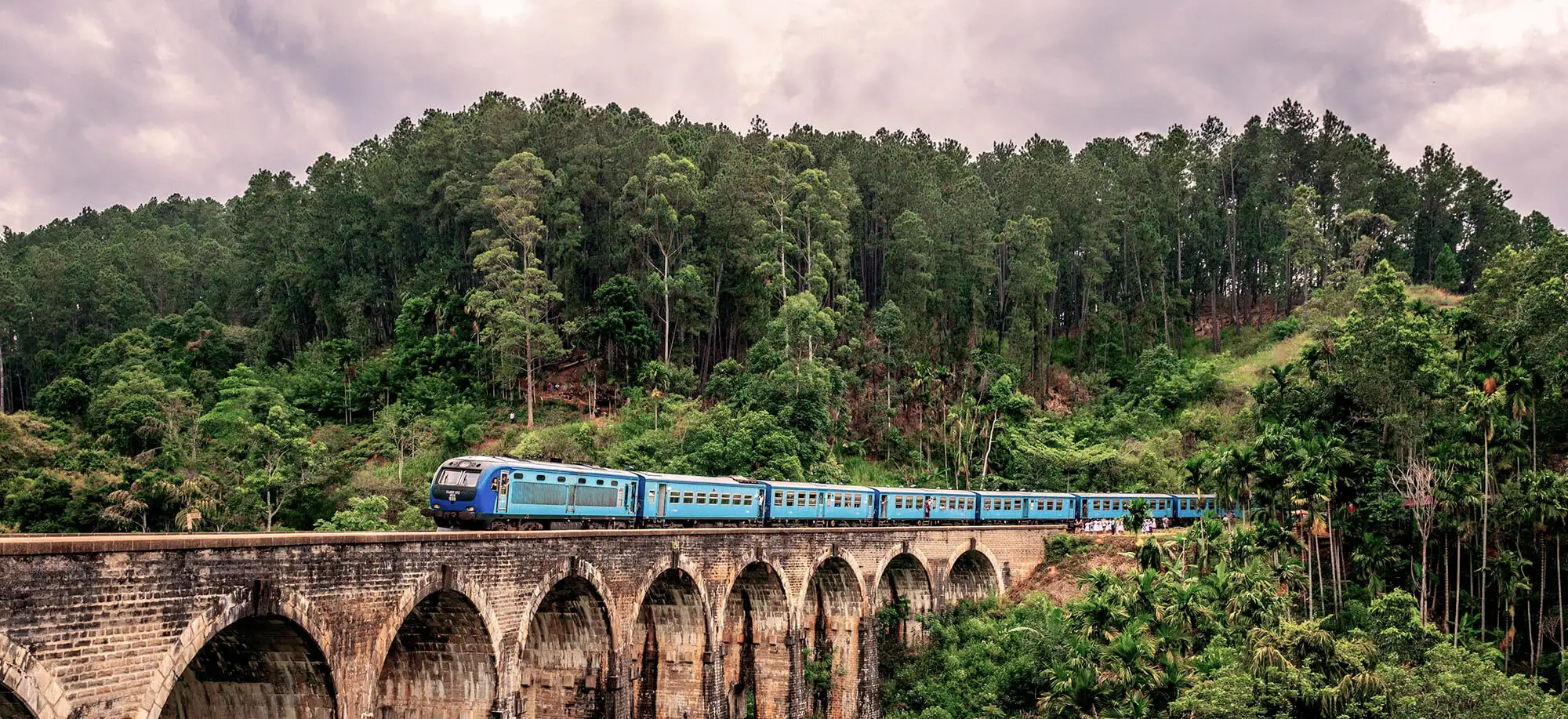 O melhor chá do mundo em Nuwara Eliya