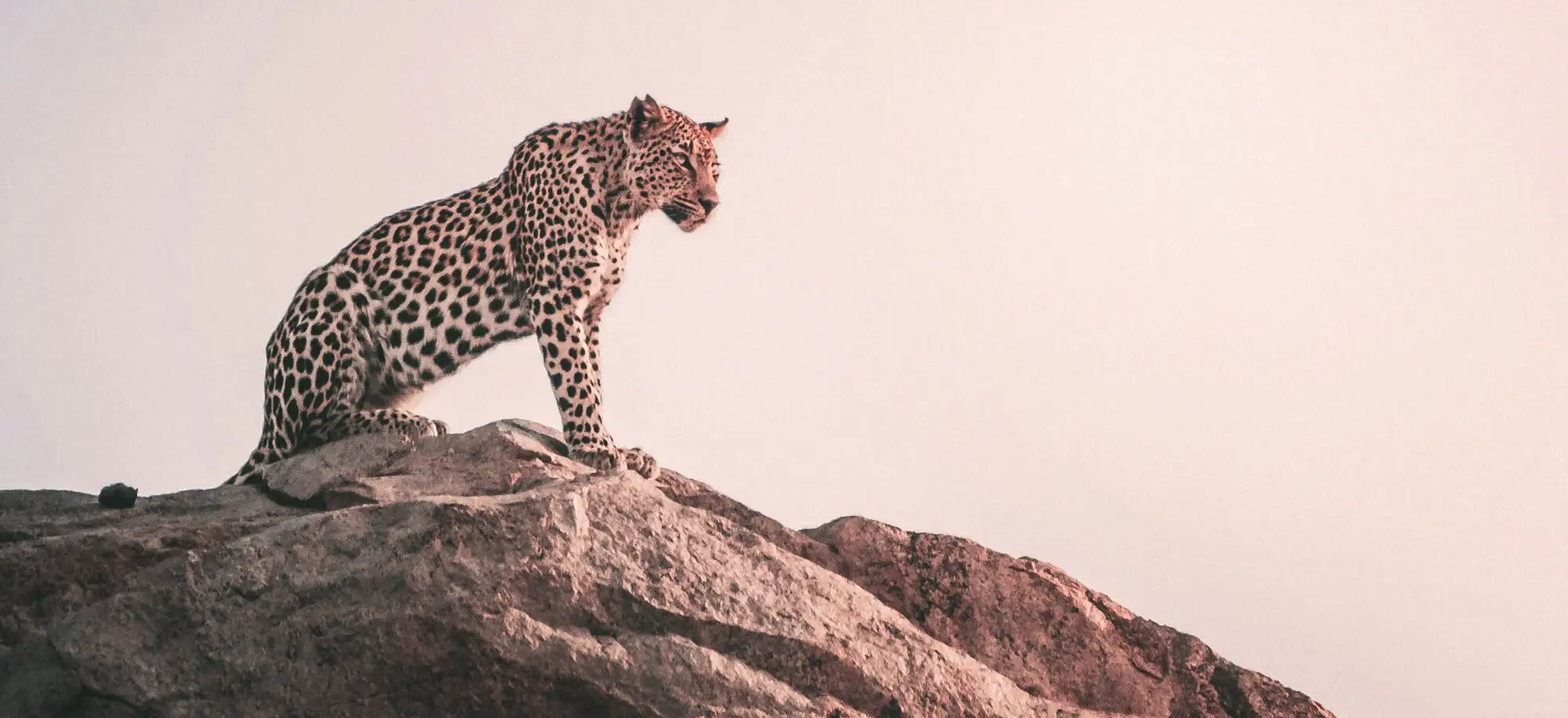 Kruger National Park