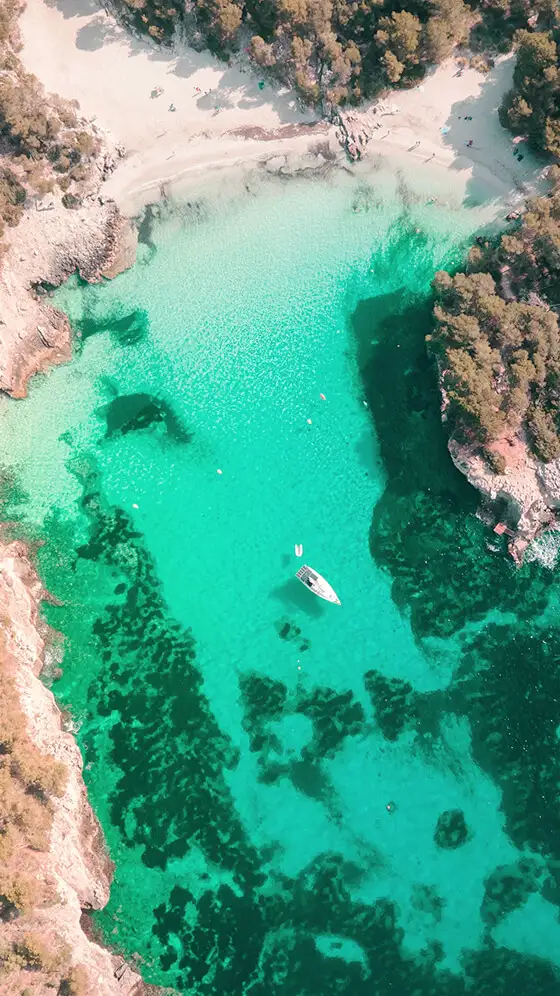 Your Way of Traveling