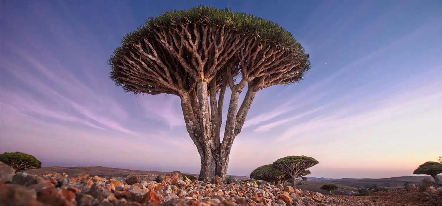 Unexplored Territory