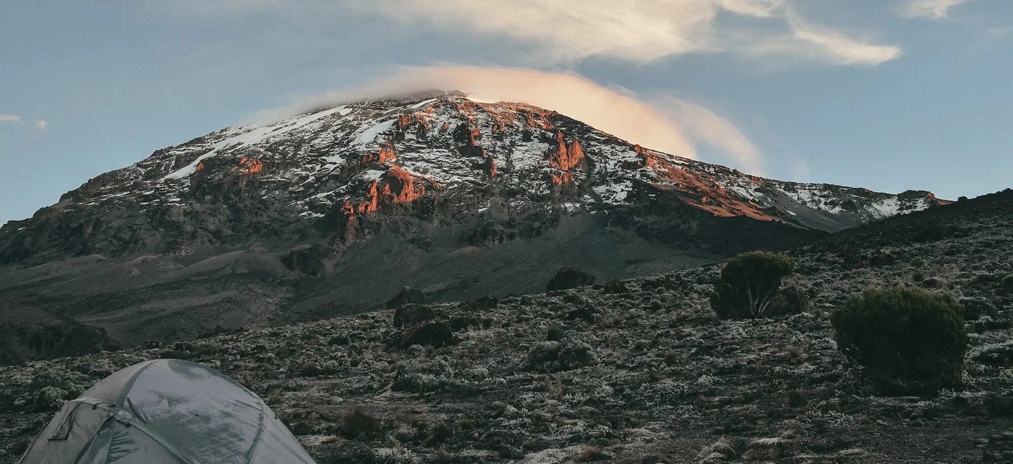 Kilimanjaro