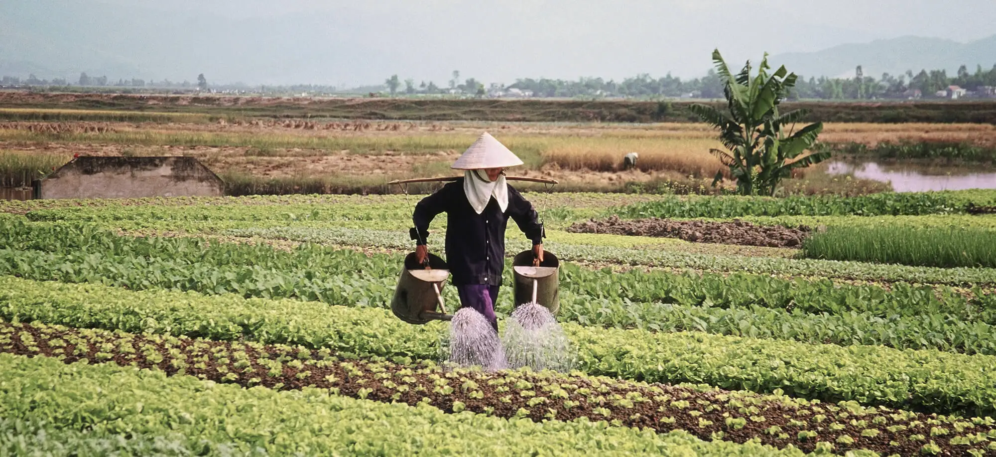 Trips to Hanoi