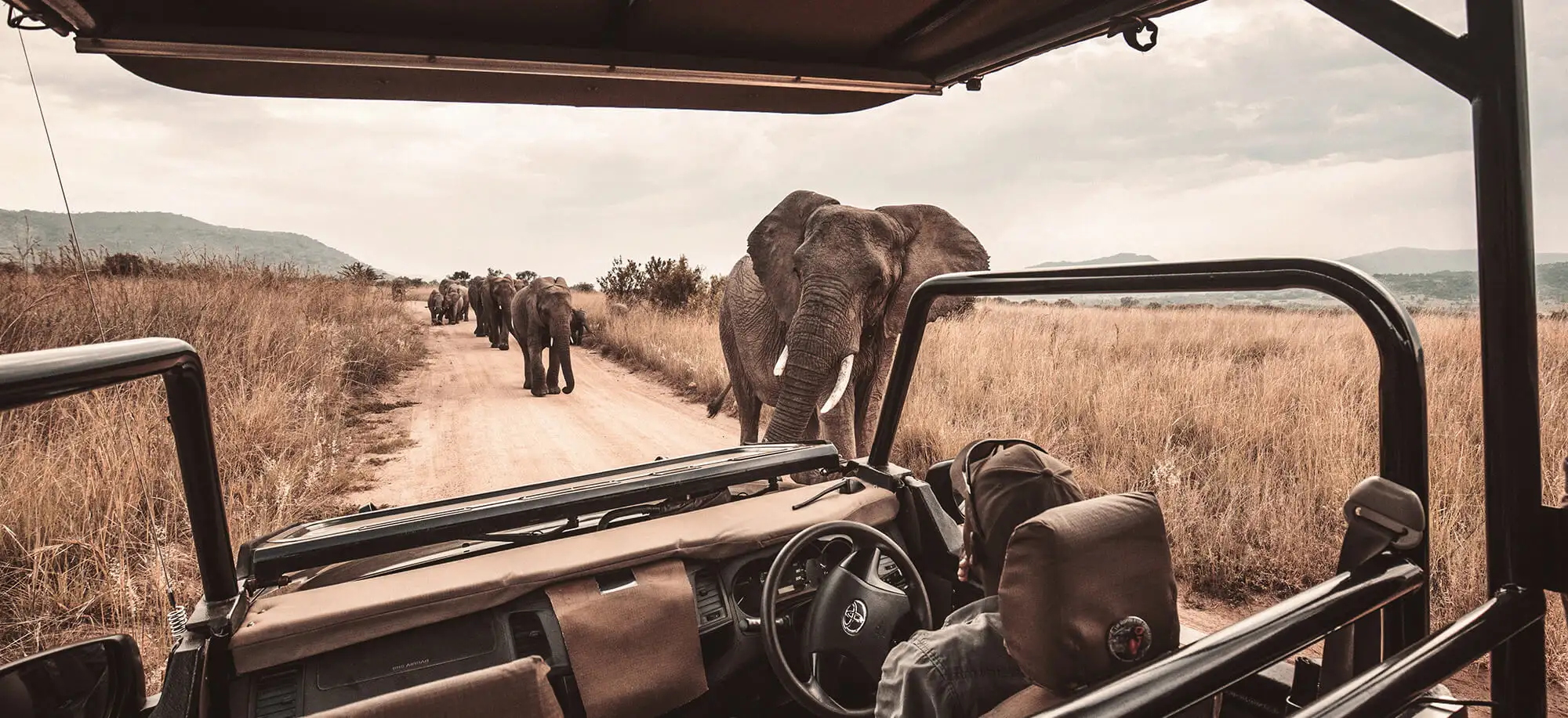 viaje-autor-kenia-tanzania-rebeca-barba-hero-d.jpg - Pangea Viajes