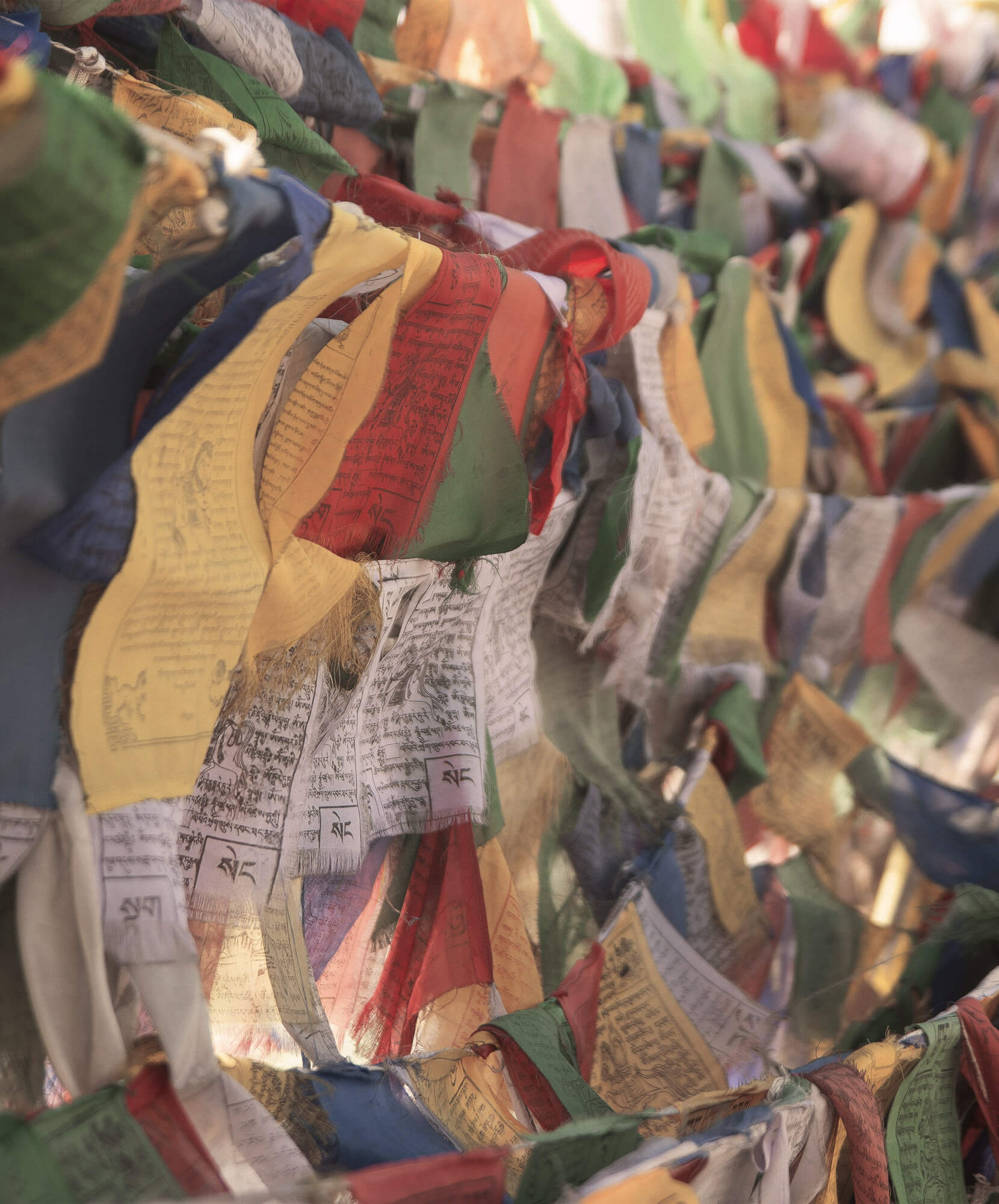 viaje-autor-tibet-nepal-banderas-tibetanas-templo.jpg - Pangea Viajes