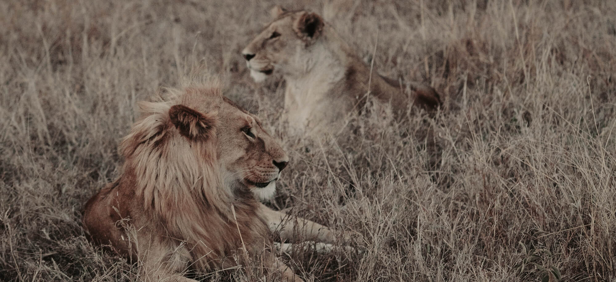The Land of the Maasai