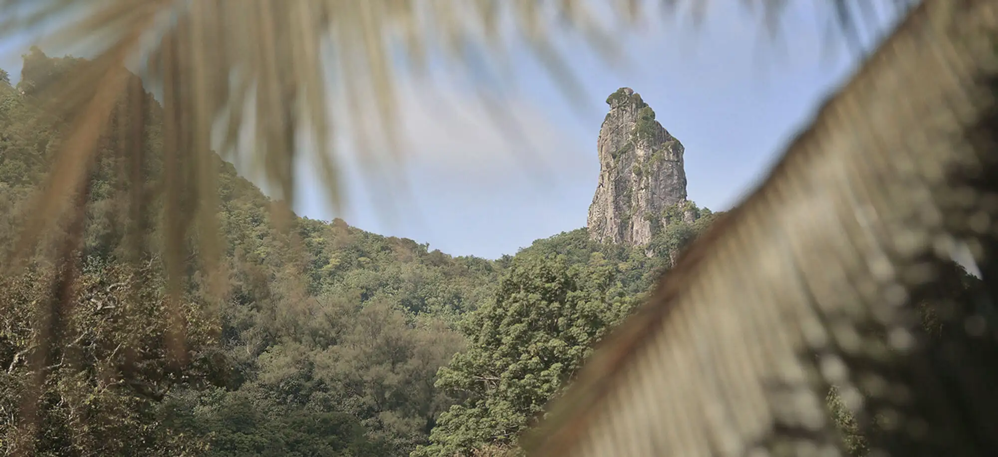 Trips to Cook Islands